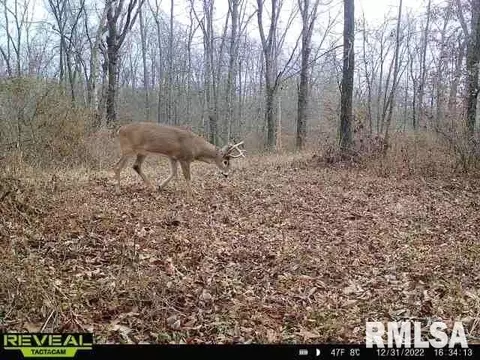 12280 E Night Rd, Dix, IL 62830 photo 100