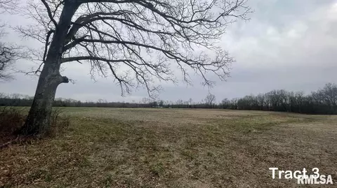 12280 E Night Rd, Dix, IL 62830 photo 81