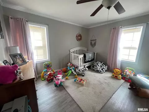 107 E Webster St, Benton, IL 62812 photo 20