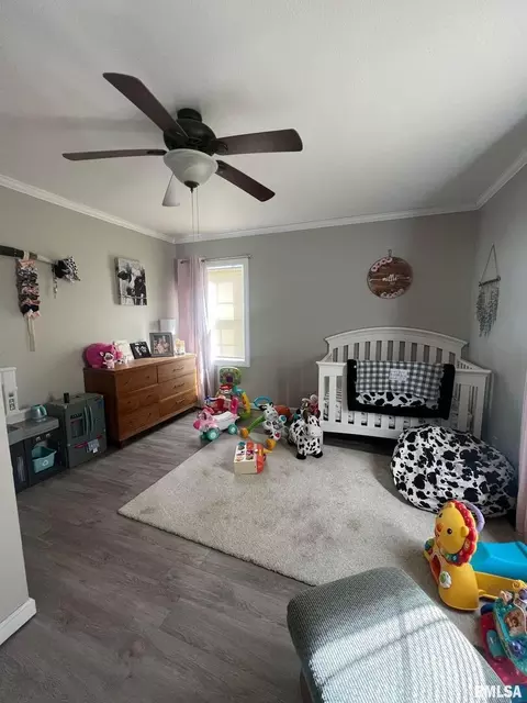 107 E Webster St, Benton, IL 62812 photo 21