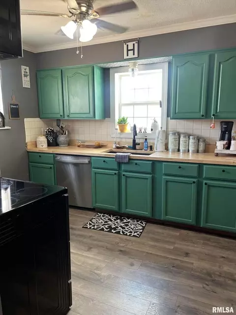 107 E Webster St, Benton, IL 62812 photo 14
