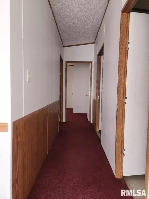 65 Front St, Tamms, IL 62988 photo 20