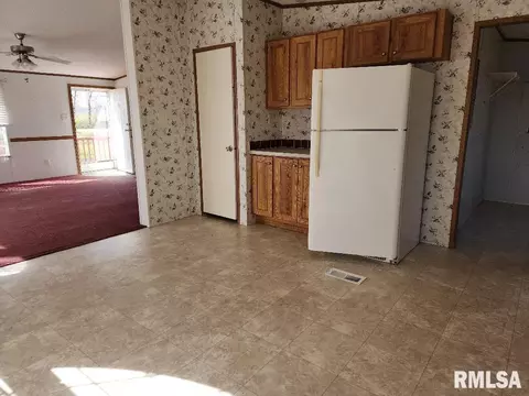65 Front St, Tamms, IL 62988 photo 10