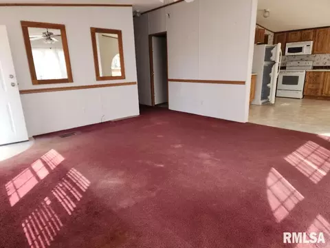 65 Front St, Tamms, IL 62988 photo 6