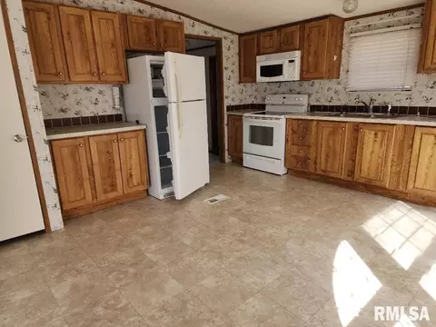65 Front St, Tamms, IL 62988 photo 9