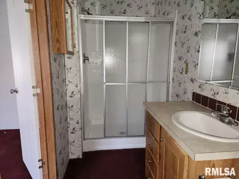65 Front St, Tamms, IL 62988 photo 15