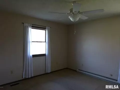155 Maple St, Muddy, IL 62965 photo 11