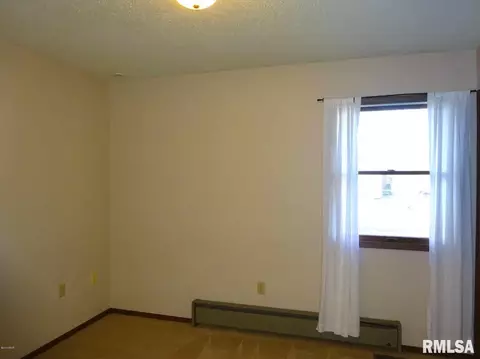 155 Maple St, Muddy, IL 62965 photo 8