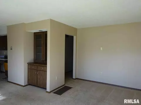 155 Maple St, Muddy, IL 62965 photo 3