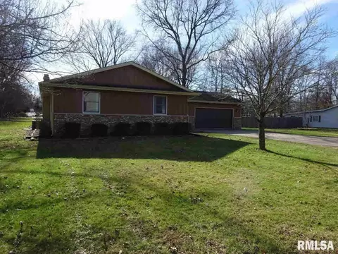 155 Maple St, Muddy, IL 62965 photo 13