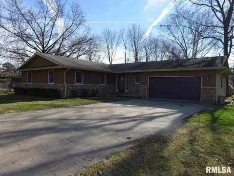 155 Maple St, Muddy, IL 62965 photo 14