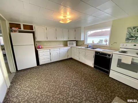 603 W Sylvia Ave, Christopher, IL 62822 photo 7