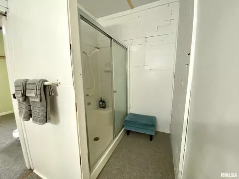 603 W Sylvia Ave, Christopher, IL 62822 photo 11