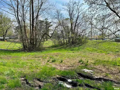 00 Lewis St, Golconda, IL 62938