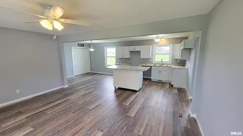 911 Lamson St, Flora, IL 62839 photo 4