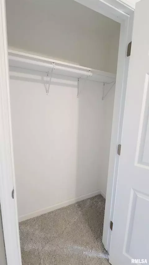 911 Lamson St, Flora, IL 62839 photo 32