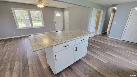 911 Lamson St, Flora, IL 62839 photo 9