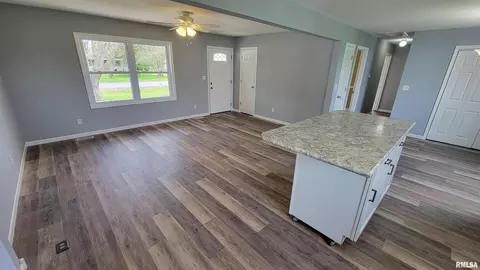 911 Lamson St, Flora, IL 62839 photo 3