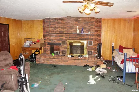 313 E 5th St, Metropolis, IL 62960 photo 18