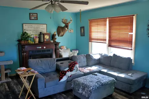313 E 5th St, Metropolis, IL 62960 photo 6