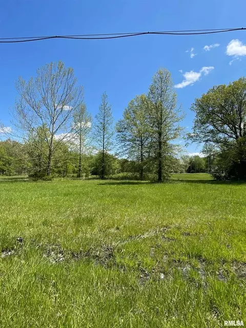 0 Old North Rd, Christopher, IL 62822 photo 6