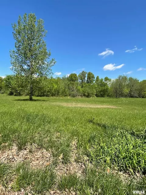 0 Old North Rd, Christopher, IL 62822 photo 7