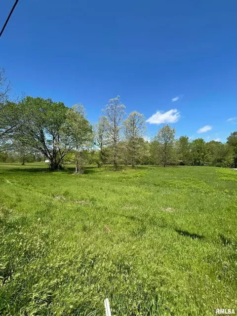 0 Old North Rd, Christopher, IL 62822 photo 4