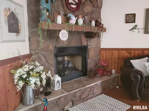 202 Evergreen Dr, Anna, IL 62906 photo 7