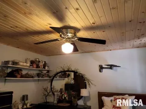 202 Evergreen Dr, Anna, IL 62906 photo 24