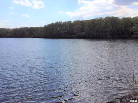 lot S 47 48 Dogwood Pl, Dix, IL 62830 photo 14