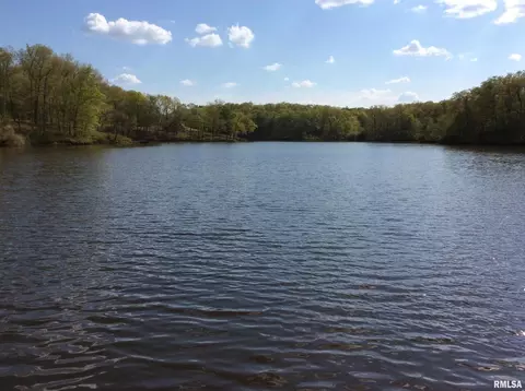 lot S 47 48 Dogwood Pl, Dix, IL 62830 photo 20
