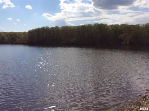 lot S 47 48 Dogwood Pl, Dix, IL 62830 photo 22