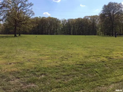 lot S 47 48 Dogwood Pl, Dix, IL 62830 photo 7