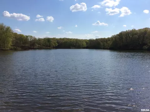 lot S 47 48 Dogwood Pl, Dix, IL 62830 photo 21