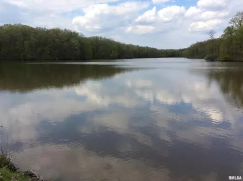 lot S 47 48 Dogwood Pl, Dix, IL 62830 photo 15