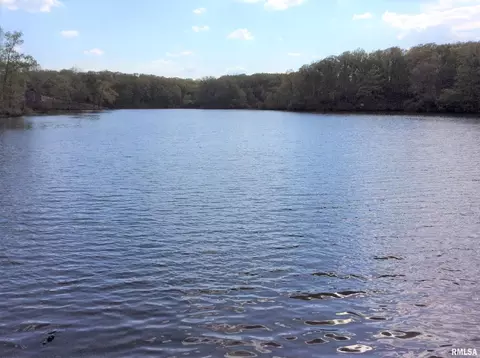 lot S 47 48 Dogwood Pl, Dix, IL 62830 photo 13