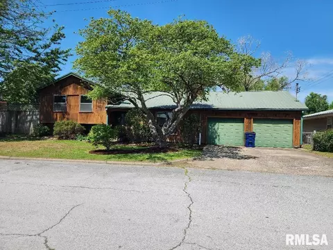 434 31st St, Cairo, IL 62914 photo 2