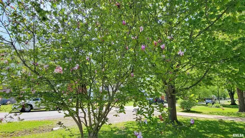 1007 Rider St, Flora, IL 62839 photo 58