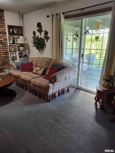 1011 E Patton Dr, Marion, IL 62959 photo 24