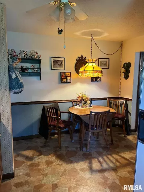 1011 E Patton Dr, Marion, IL 62959 photo 8