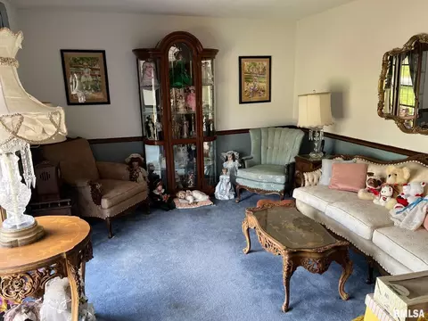1011 E Patton Dr, Marion, IL 62959 photo 18