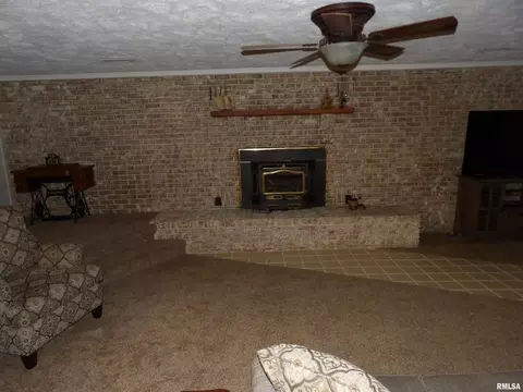 1005 E Taylor St, Benton, IL 62812 photo 13