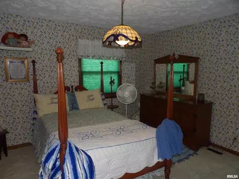 1005 E Taylor St, Benton, IL 62812 photo 31