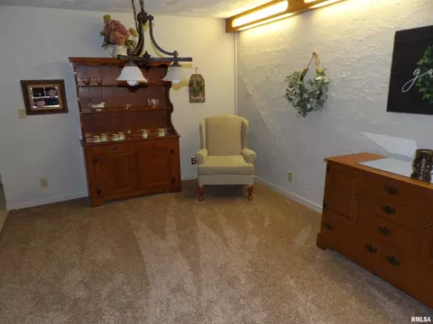 1005 E Taylor St, Benton, IL 62812 photo 19