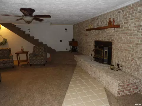 1005 E Taylor St, Benton, IL 62812 photo 14