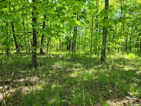 162 N Foxville Rd, Kell, IL 62853 photo 27