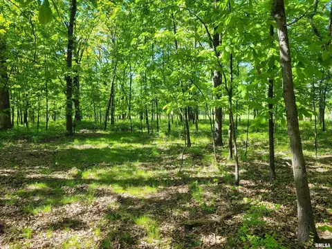 162 N Foxville Rd, Kell, IL 62853 photo 23