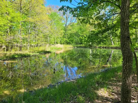 162 N Foxville Rd, Kell, IL 62853 photo 25