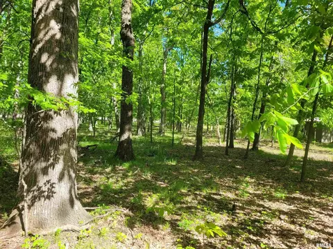 162 N Foxville Rd, Kell, IL 62853 photo 24