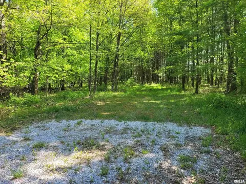 162 N Foxville Rd, Kell, IL 62853 photo 31